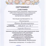 Сертификат участника межмуниципальной олимпиады,2016г.