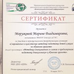 Сертификат за участие в муниципальном теоретическом семинаре