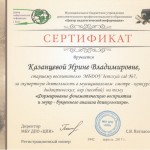 Сертификат за экспертную деятельность в муниципальном смотре - конкурсе дидактических игр